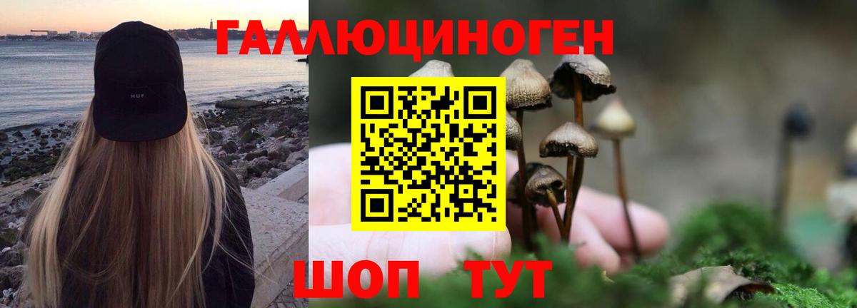 Галлюциногенные грибы Psilocybe Прокопьевск